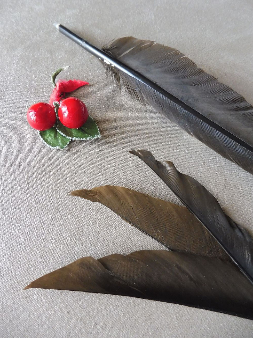 Miniature : Lot de 4 Plumes Marron