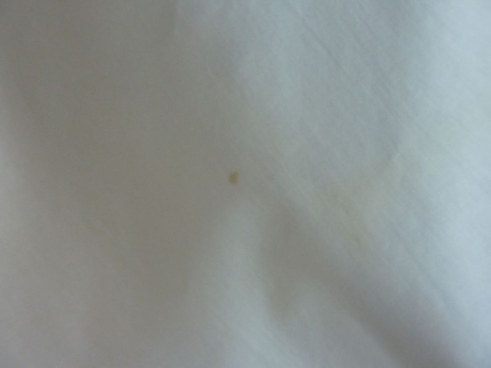 Miniature : Culotte Fendue (n°39)