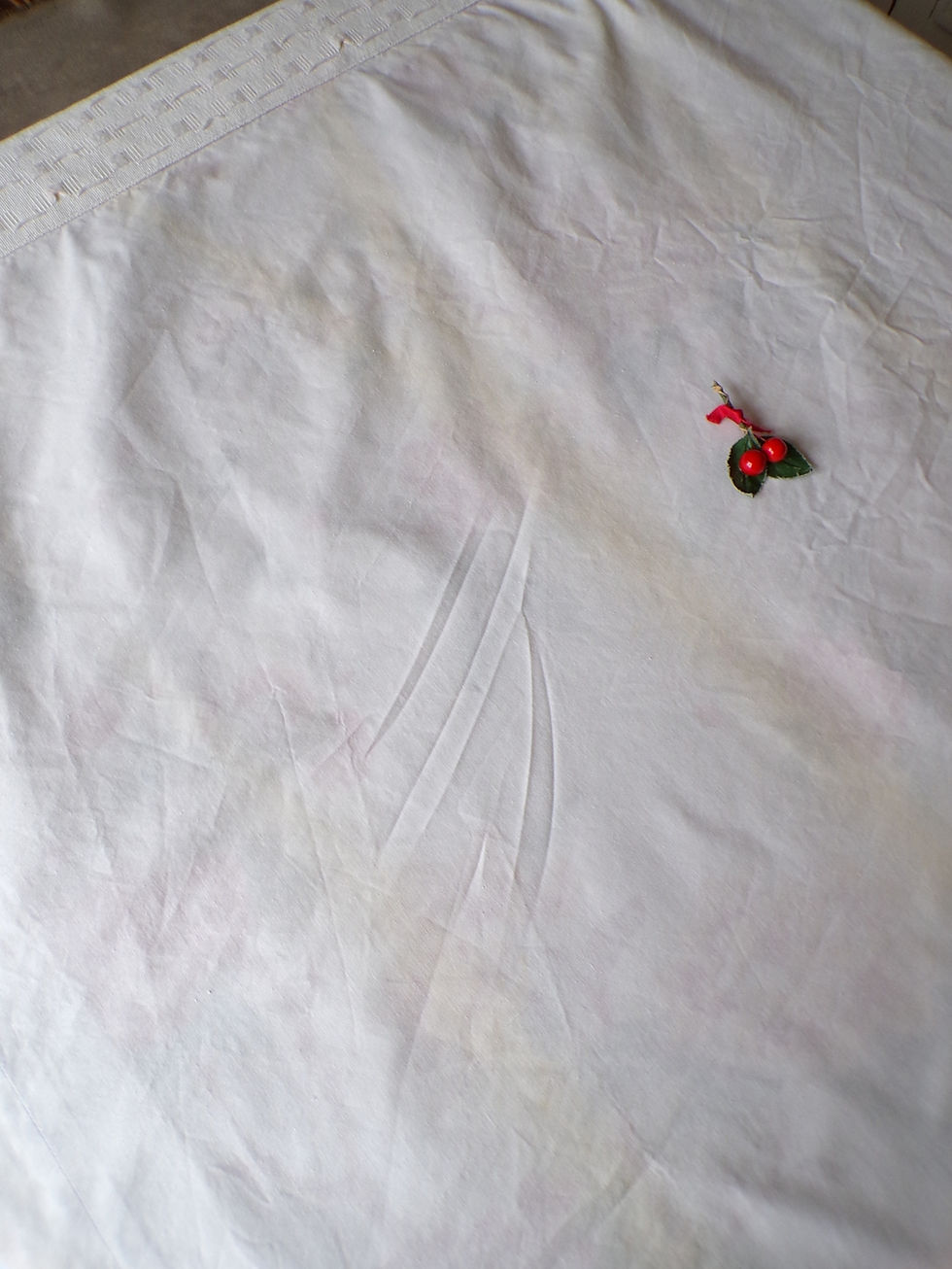 Miniature : Rideau Toile de Mayenne (n°1)