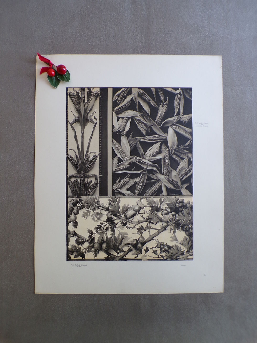 Miniature : Planche 1900 (n°55)