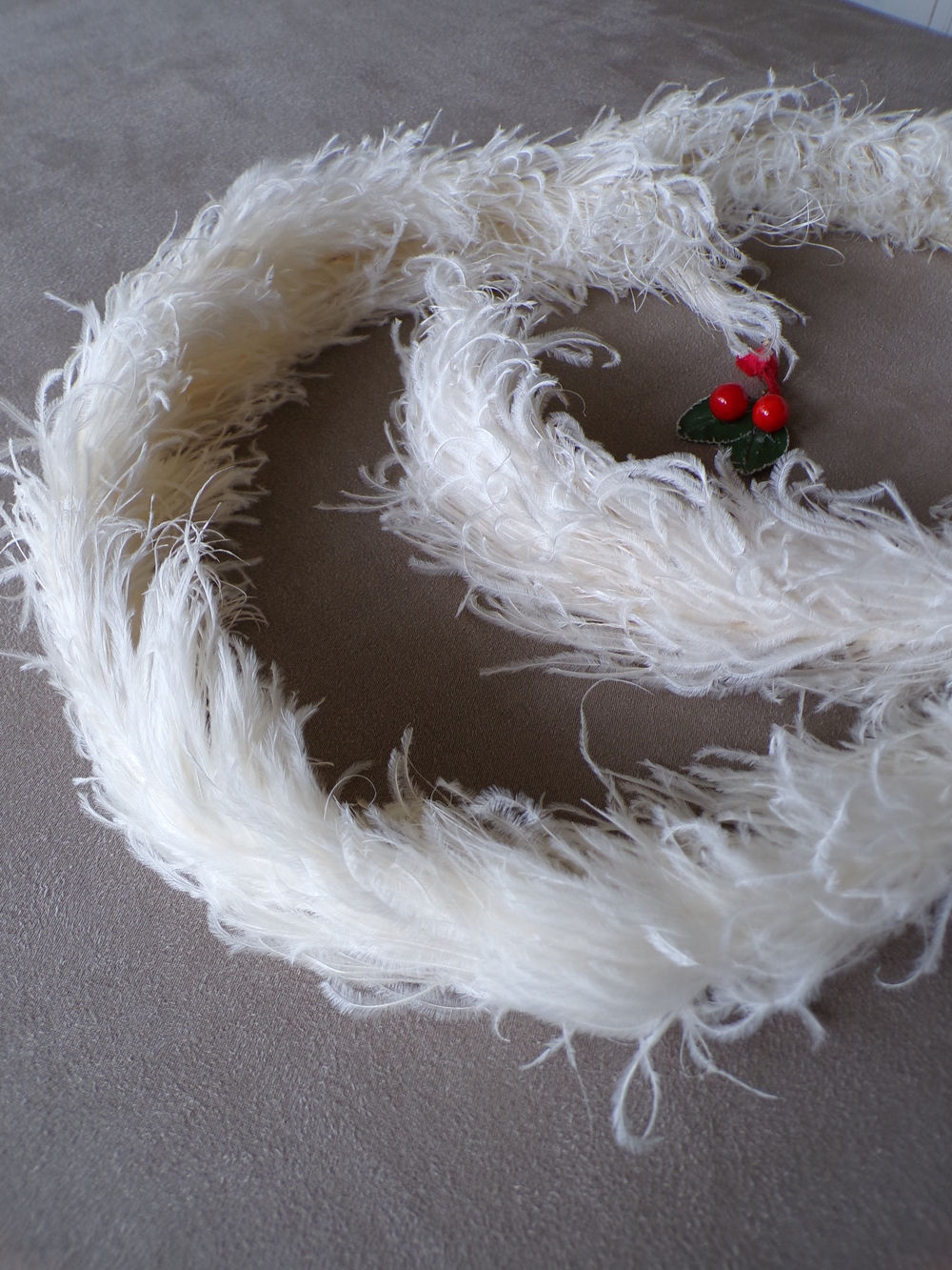 Grandes Plumes d'Autruche