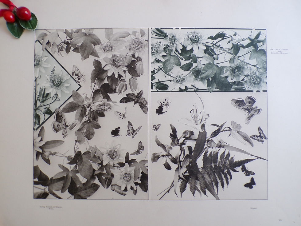Miniature : Planche 1900 (n°63)