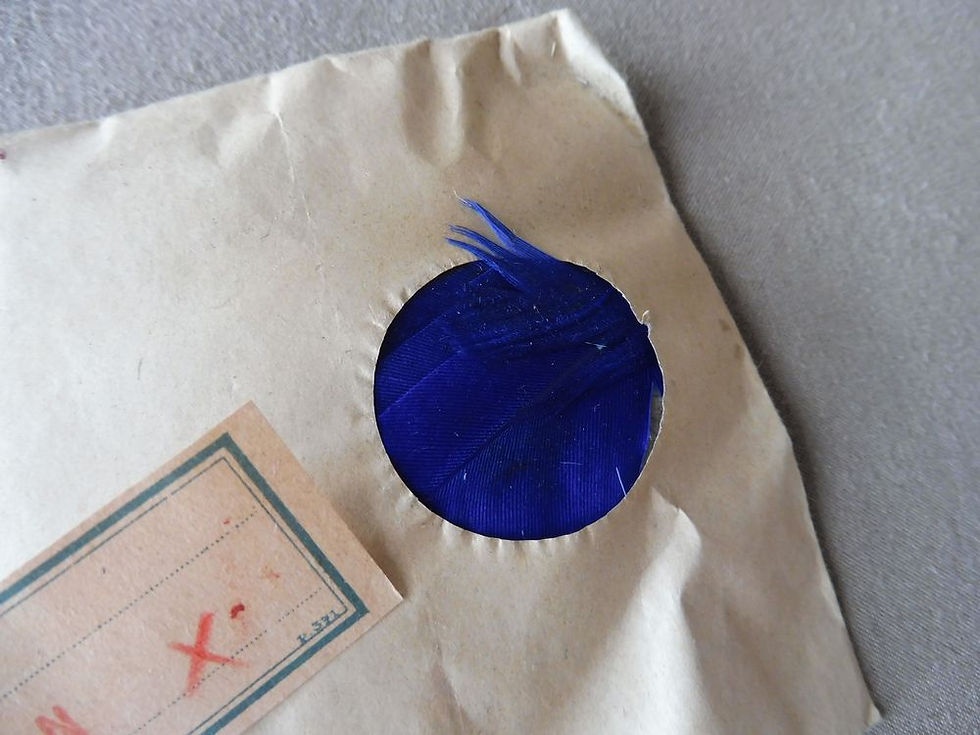 Miniature : Pochette de Plumes Bleu Nuit