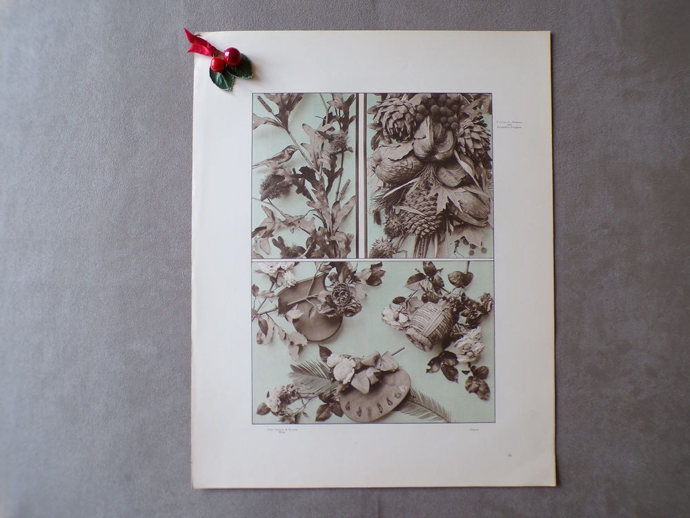 Planche 1900 (n°39)