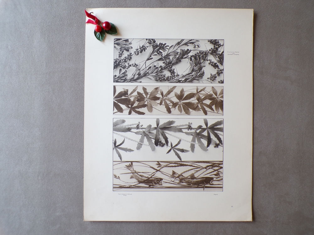 Planche 1900 (n°42)