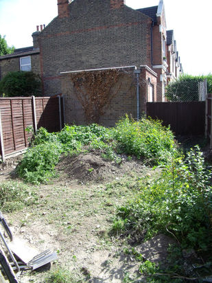 Before - Ipe hardwood decking - raised rendered beds - sawn sandstone paving before.JPG