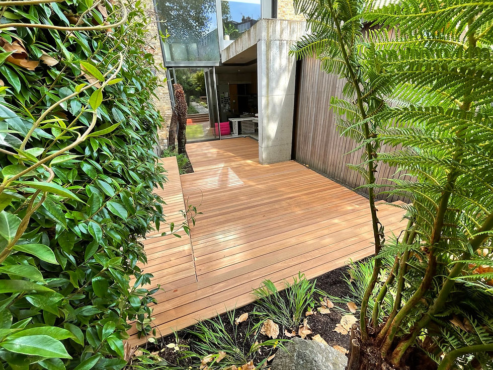 Balau hardwood decking looking back towards house