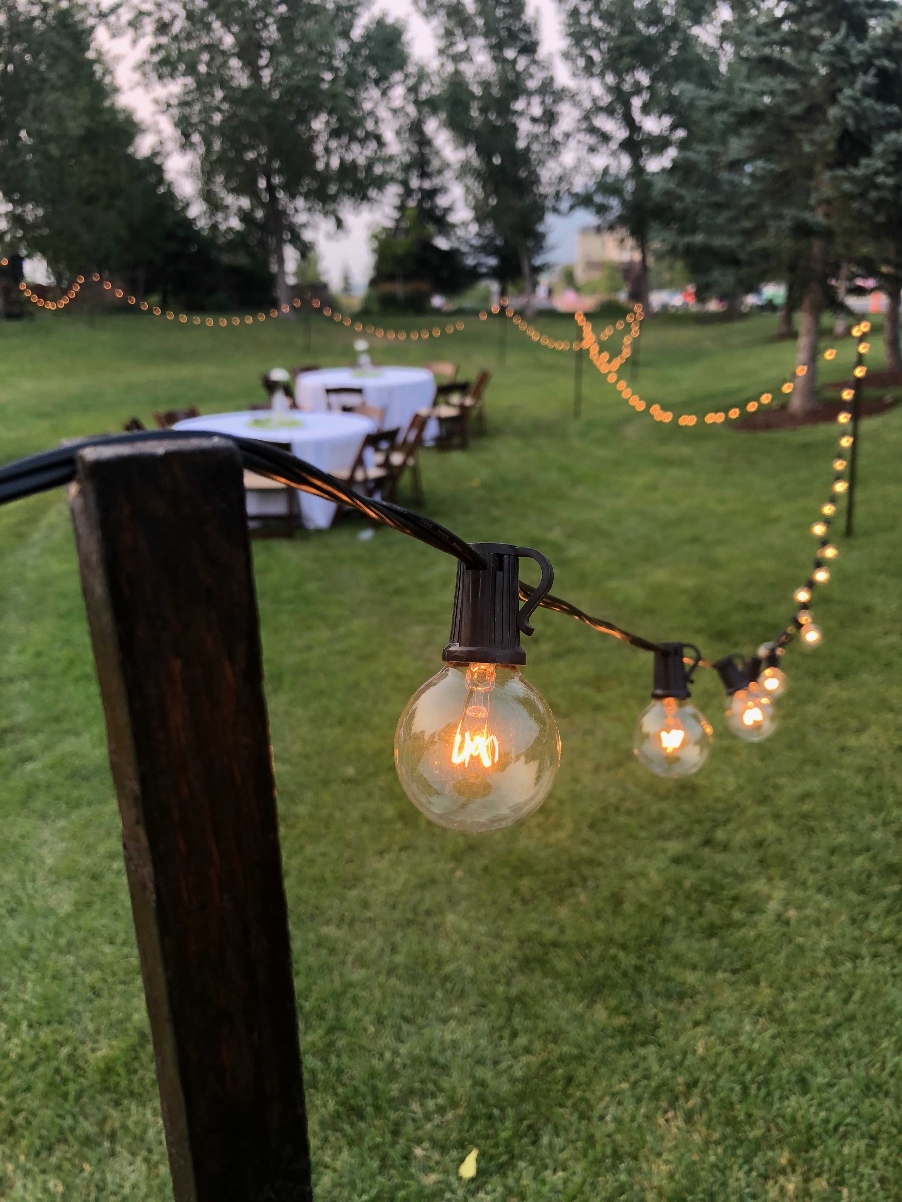 Lights 1
