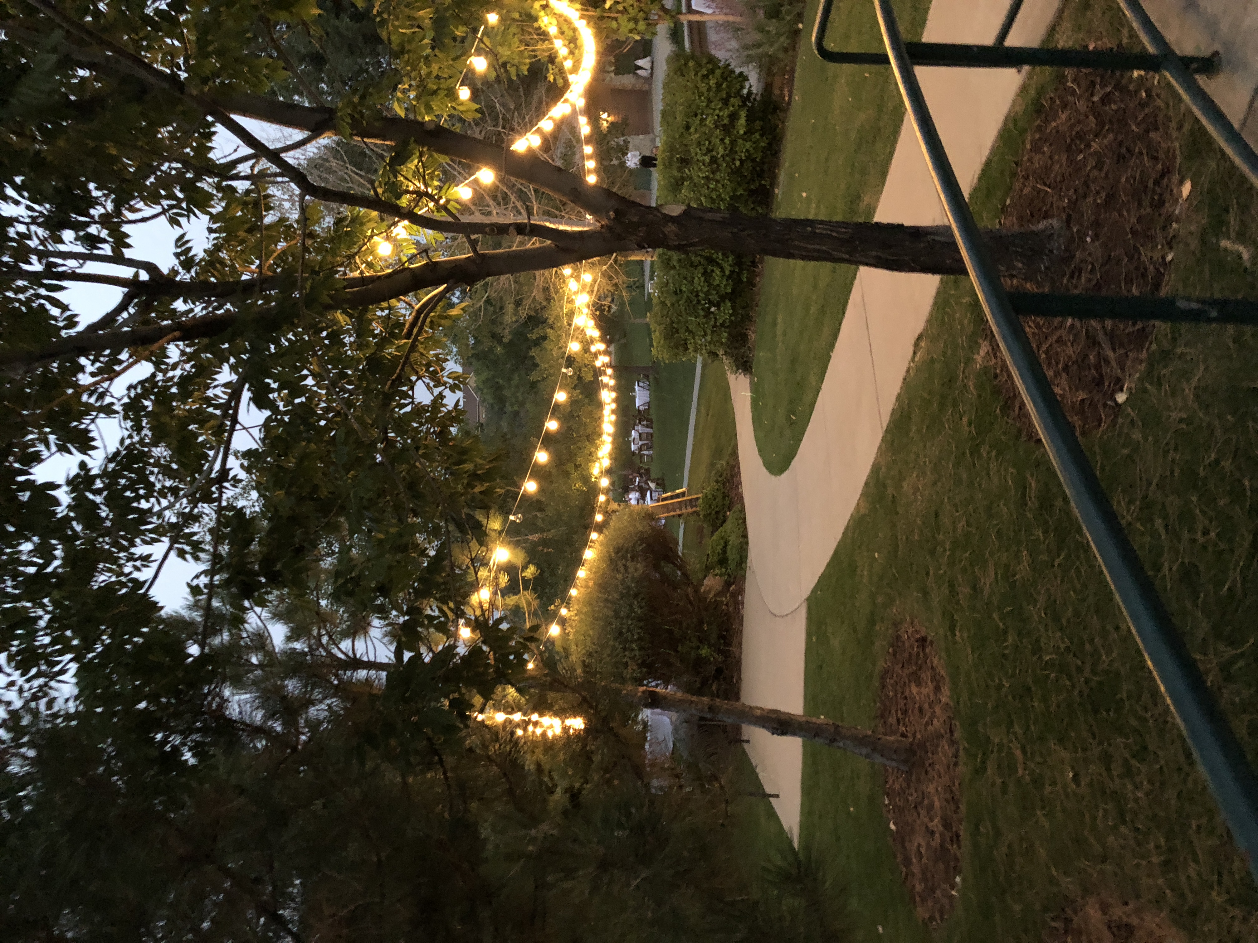 Lights 2