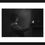 Thumbnail: Lamp Lighter no.1