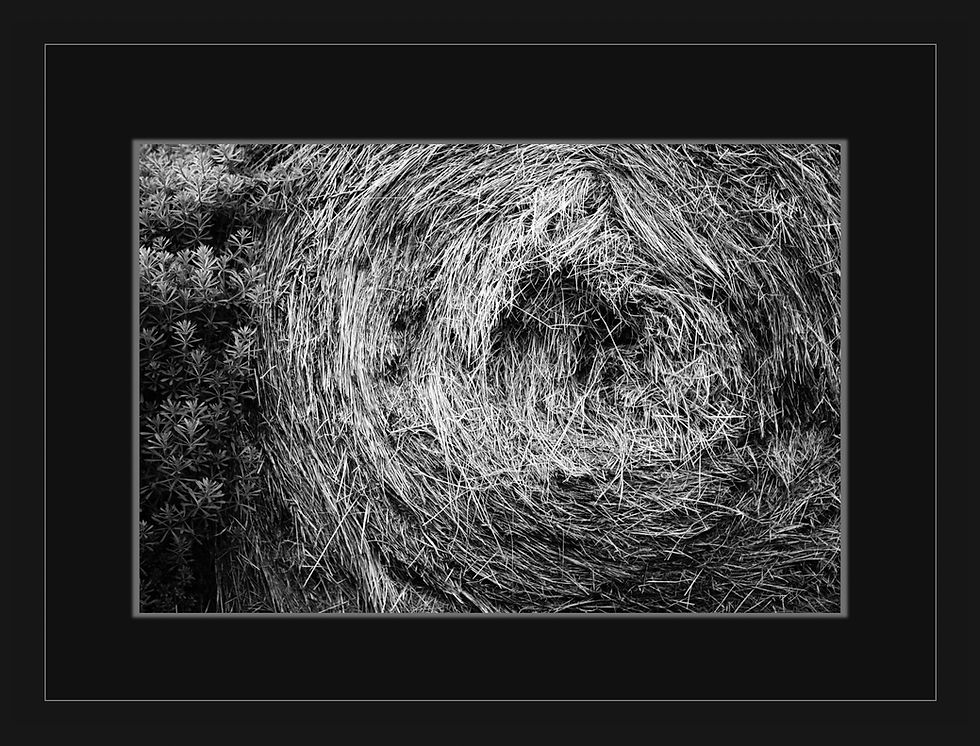 Thumbnail: Straw