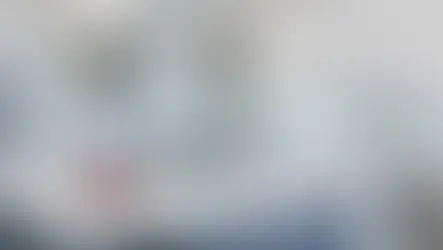 キッチンにアナハイム・ディスポーザー