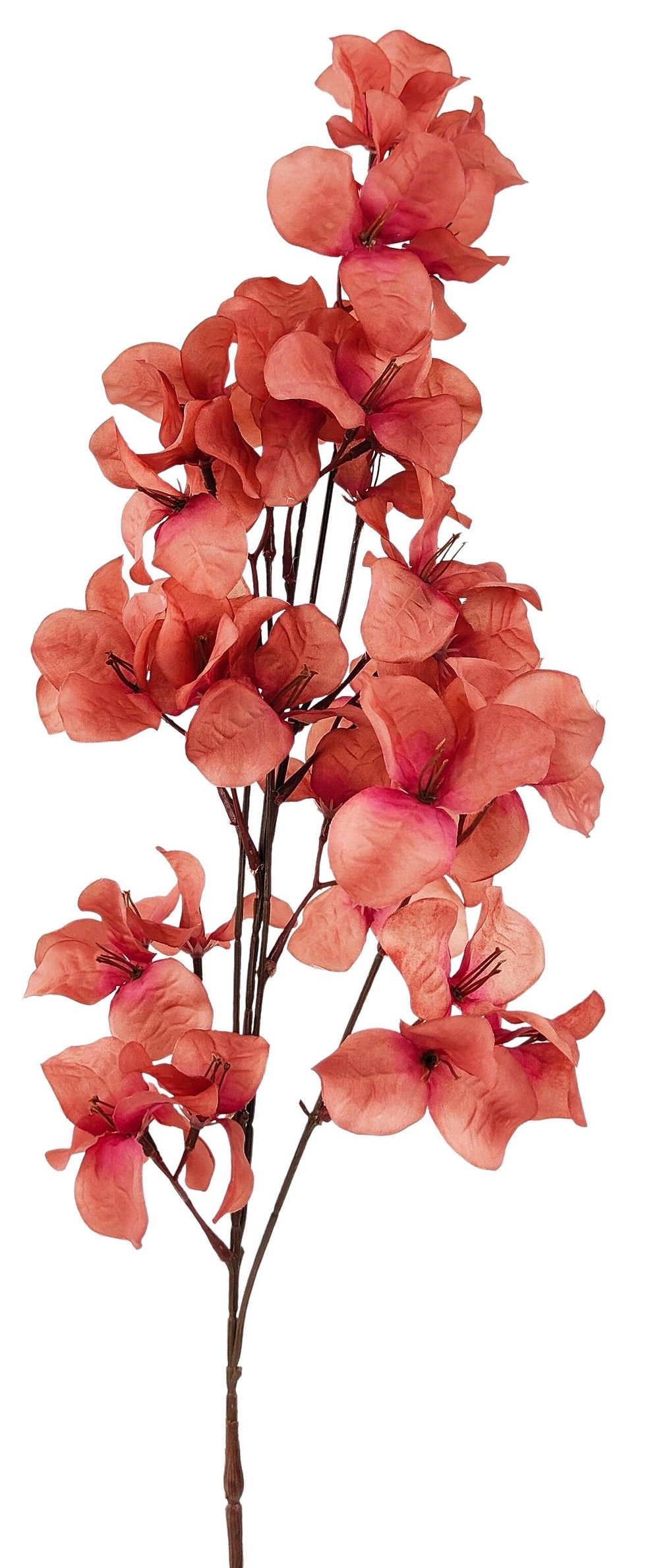 Dried Look Bougainvillea Stem Light Pink 70cm
