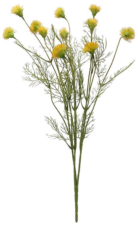 Dandelion Stem Yellow Green 56cm