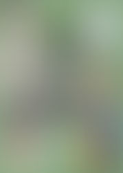 I'm not a god of commerce, so I don't do this to get rich