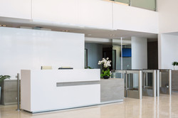 Hanex Solid Surface