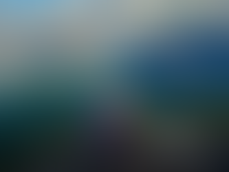 Como surgiu a Camaleão Ecoturismo?