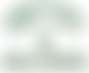 Programa de Refuerzo Educativo Estival