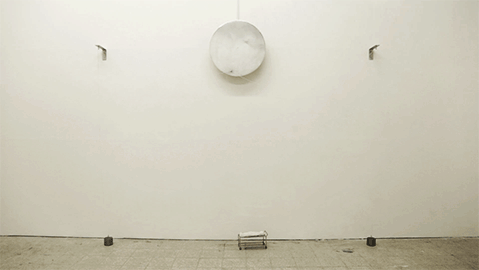 MVI_7978.gif