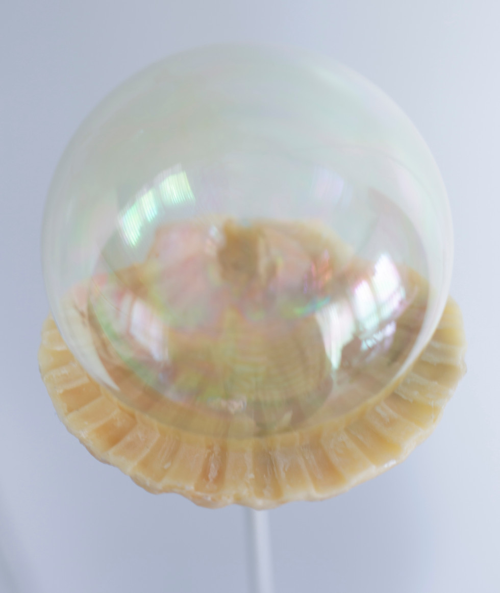 הסתכלות טהורה 2.jpg