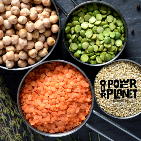 Ready to unleash the power of pulses?