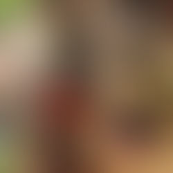 Earth Hour 2022 - Highlights Video!