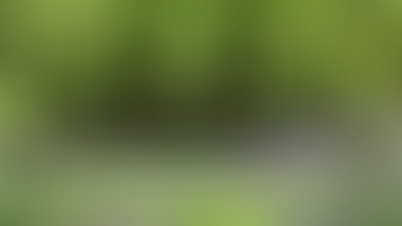 How to restore our forests.  Our Planet. WWF