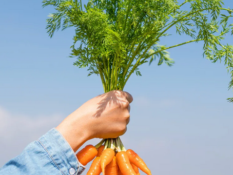How to eat seasonally in the UK. Hubbub