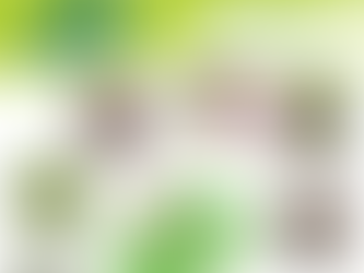 Woodland Trust Nature Detectives - Mini Beast Hunt - Activity Sheet