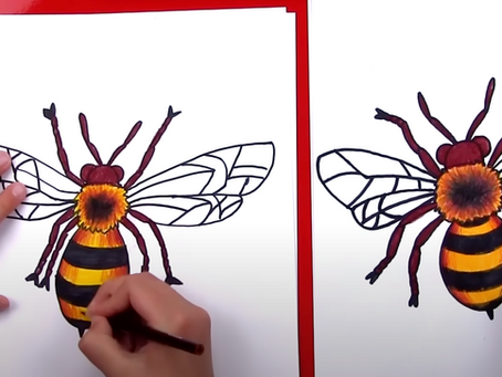 How to draw a realistic bee. Art for Kids Hub