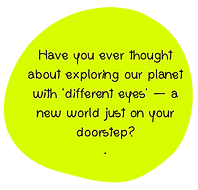 website - challenge bubbles (2).png