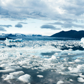 Britmums - Could your child be a Young Climate Warrior? 