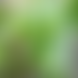 Discover something new ... from a different view