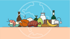 Climate Change food calculator - what's your diet's carbon footprint? BBC. Updated 2023