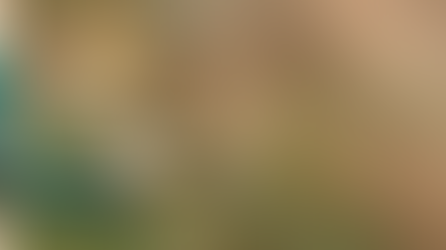 How and what to feed your garden birds. RSPB