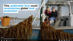 Could this underwater farm revolutionise global food production?  World Economic Forum. 2019 
