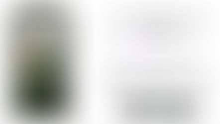 Listen to our Rainforest. Rainforest Connection project. 