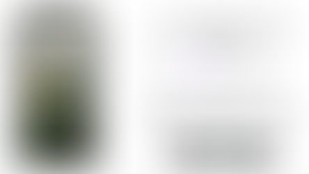 Listen to our Rainforest. Rainforest Connection project. 