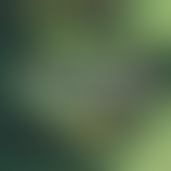 Guinness Book of Records: Schools statement about climate change - in plastic bottles. 