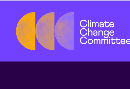 UK progress - The Climate Change Committee's Annual assessment. July 2022 (for an older audience)