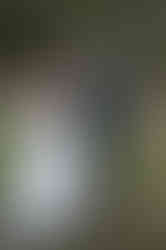 Bride and groom admiring their wedding rings.