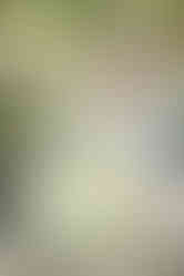 Girl in green ballgown twirling her dress