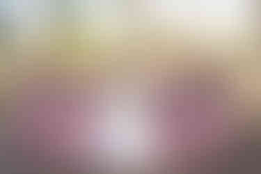 Bride and bridesmaid in a V shaped line