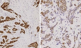 Captura de pantalla 2024-02-23 a la(s) 7.28.11 a.m..png