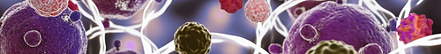 pcr cancer ivd.png
