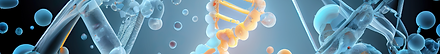 Captura de pantalla 2024-10-22 a la(s) 9.35.16 p.m..png