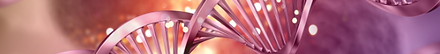 pcr cancer.png