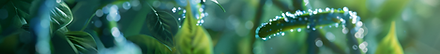 Captura de pantalla 2024-10-22 a la(s) 9.59.20 p.m..png