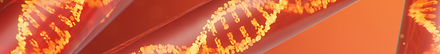 Captura de pantalla 2024-10-22 a la(s) 9.41.32 p.m..png