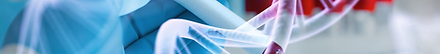 Captura de pantalla 2024-10-22 a la(s) 9.37.20 p.m..png